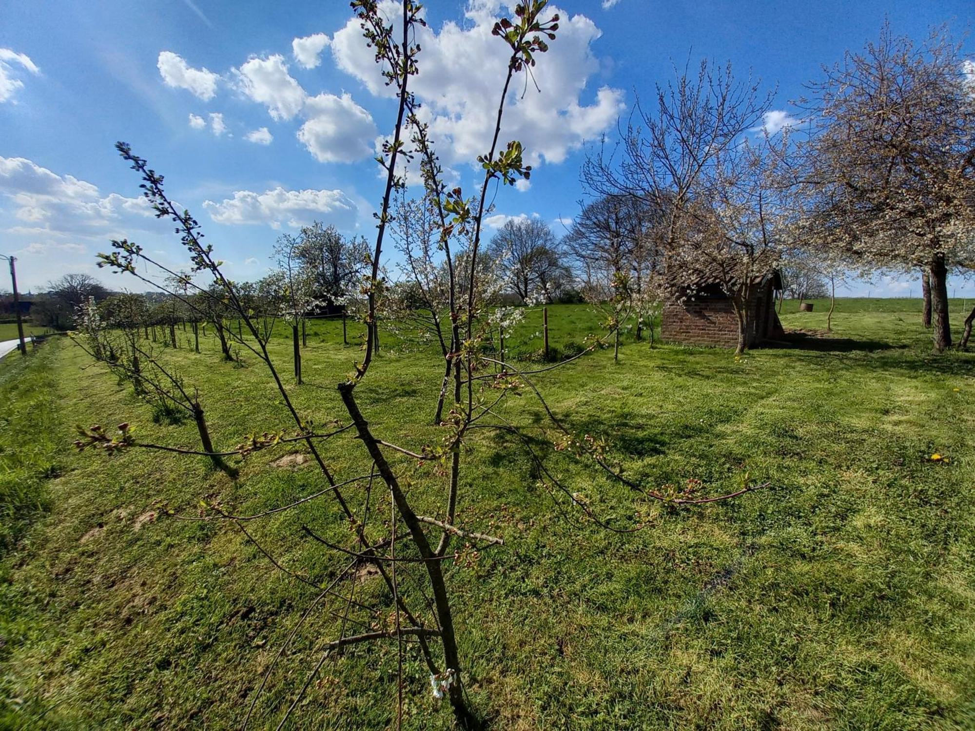 Gaasbeek Trionfo B&B 외부 사진